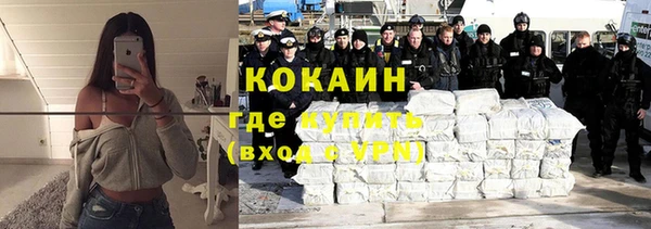 сатива Баксан