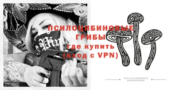 сатива Баксан