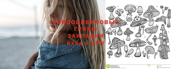 2c-b Балабаново