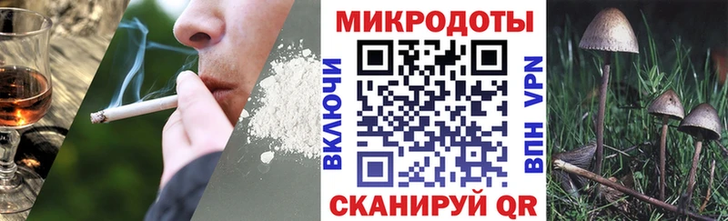 Псилоцибиновые грибы прущие грибы  Кущёвская 